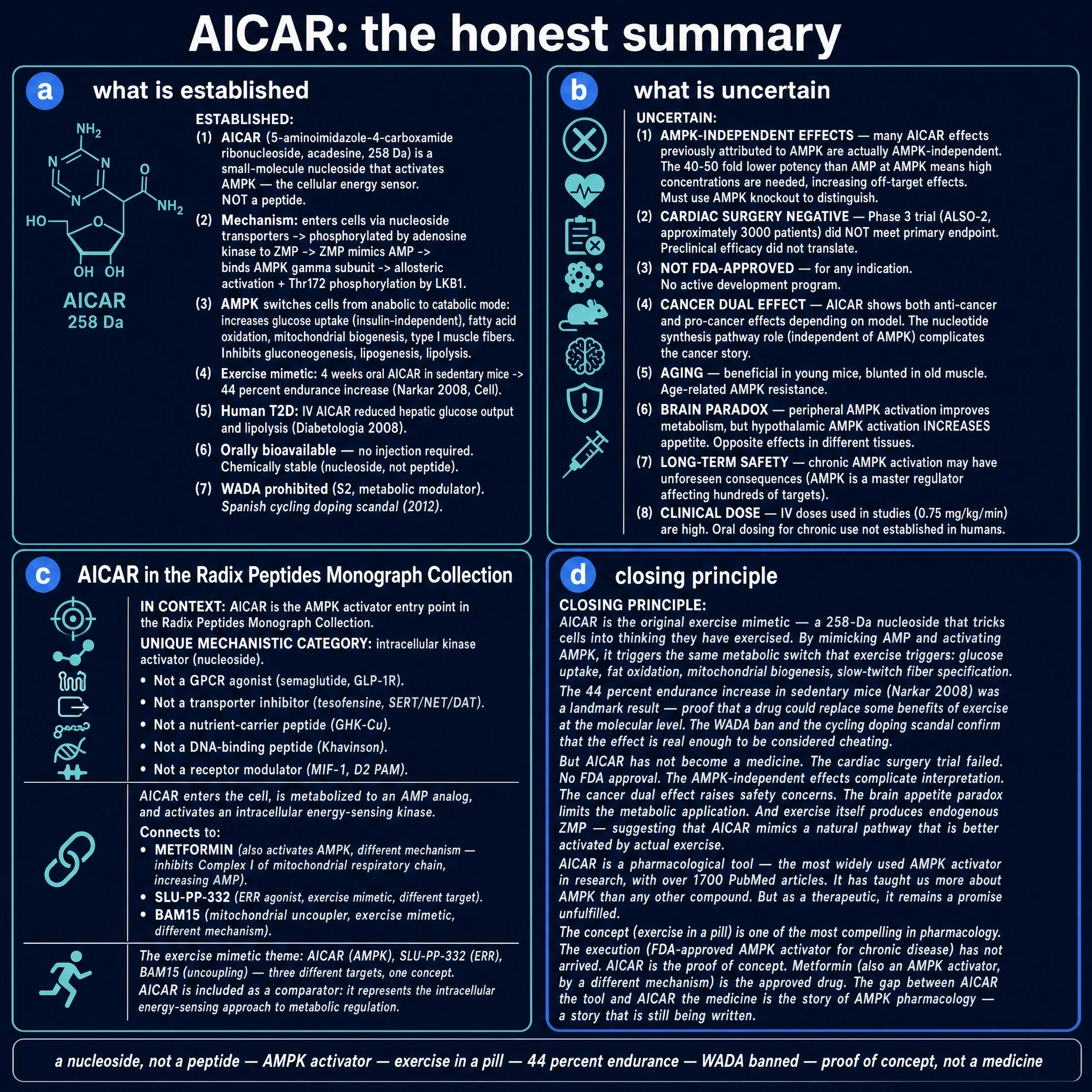 Honest summary: established facts, uncertainties, series context, and closing principle
