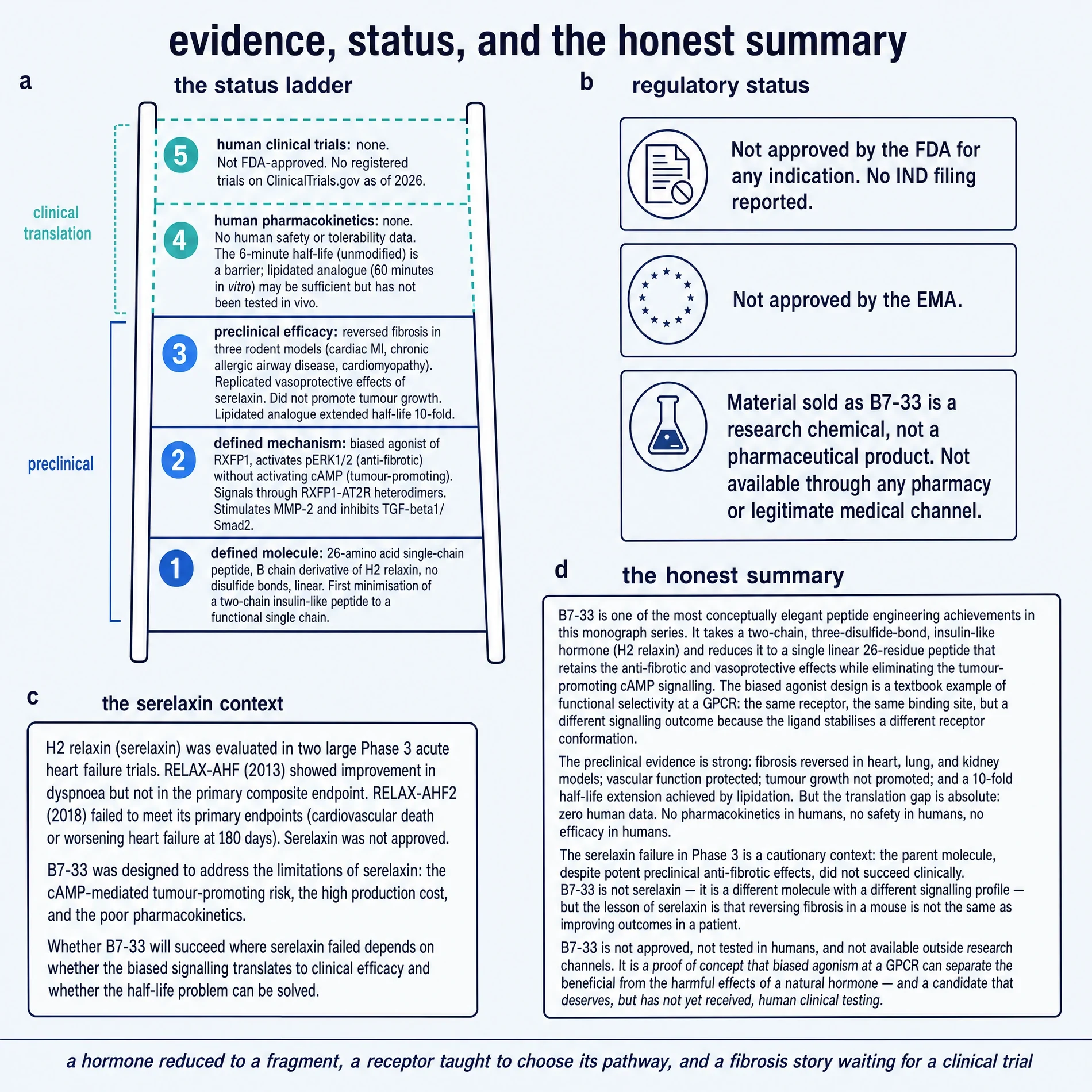 Status ladder for B7-33: solid preclinical rungs, empty human PK and trial rungs, regulatory non-approval, and an honest summary of the translation gap