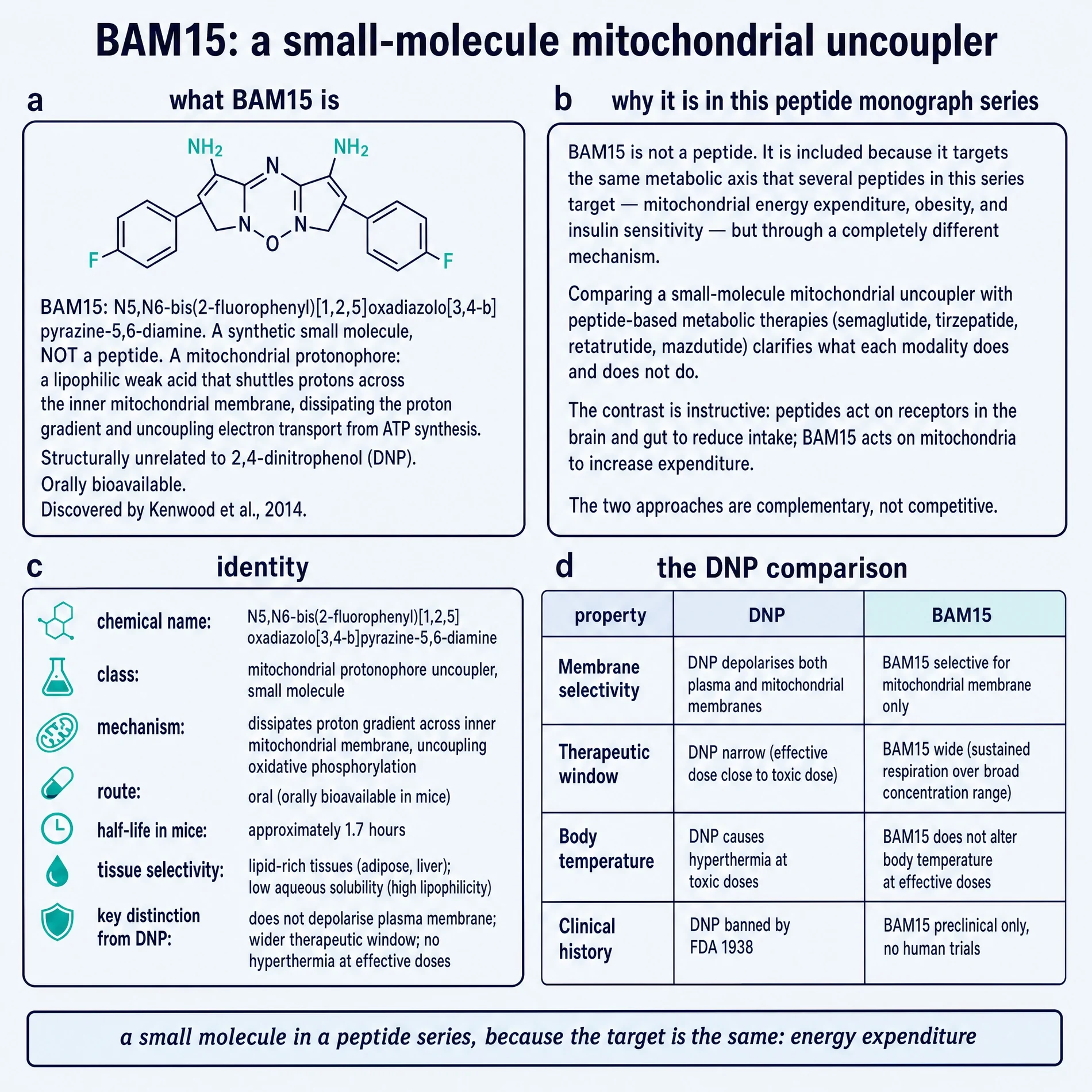 BAM15 identity card: chemical structure, why a small molecule appears in a peptide series, and a four-row comparison with dinitrophenol
