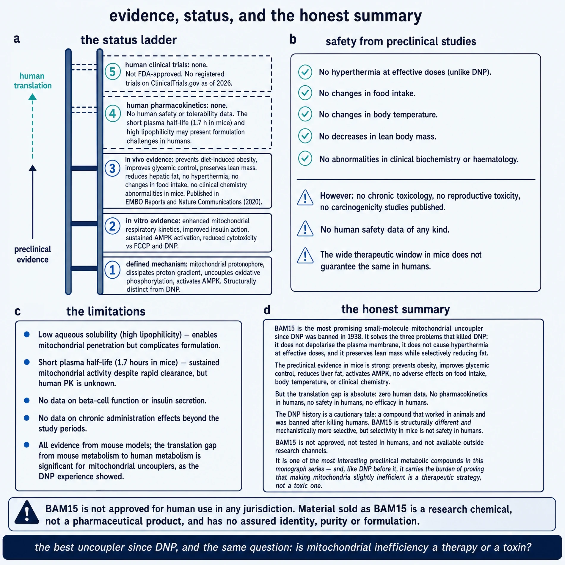Evidence status ladder for BAM15 from defined mechanism through the empty human rungs, with preclinical safety and the translation gap
