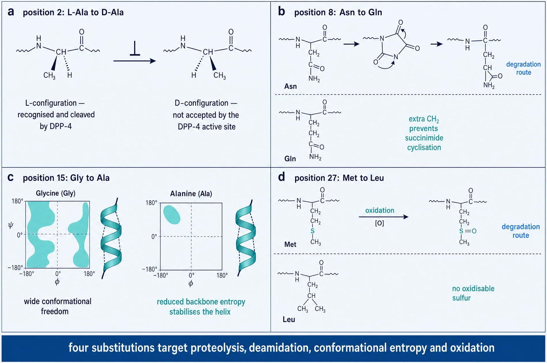 Chemical rationale for each of the four substitutions: DPP-4 stereochemistry, deamidation, helix entropy and methionine oxidation