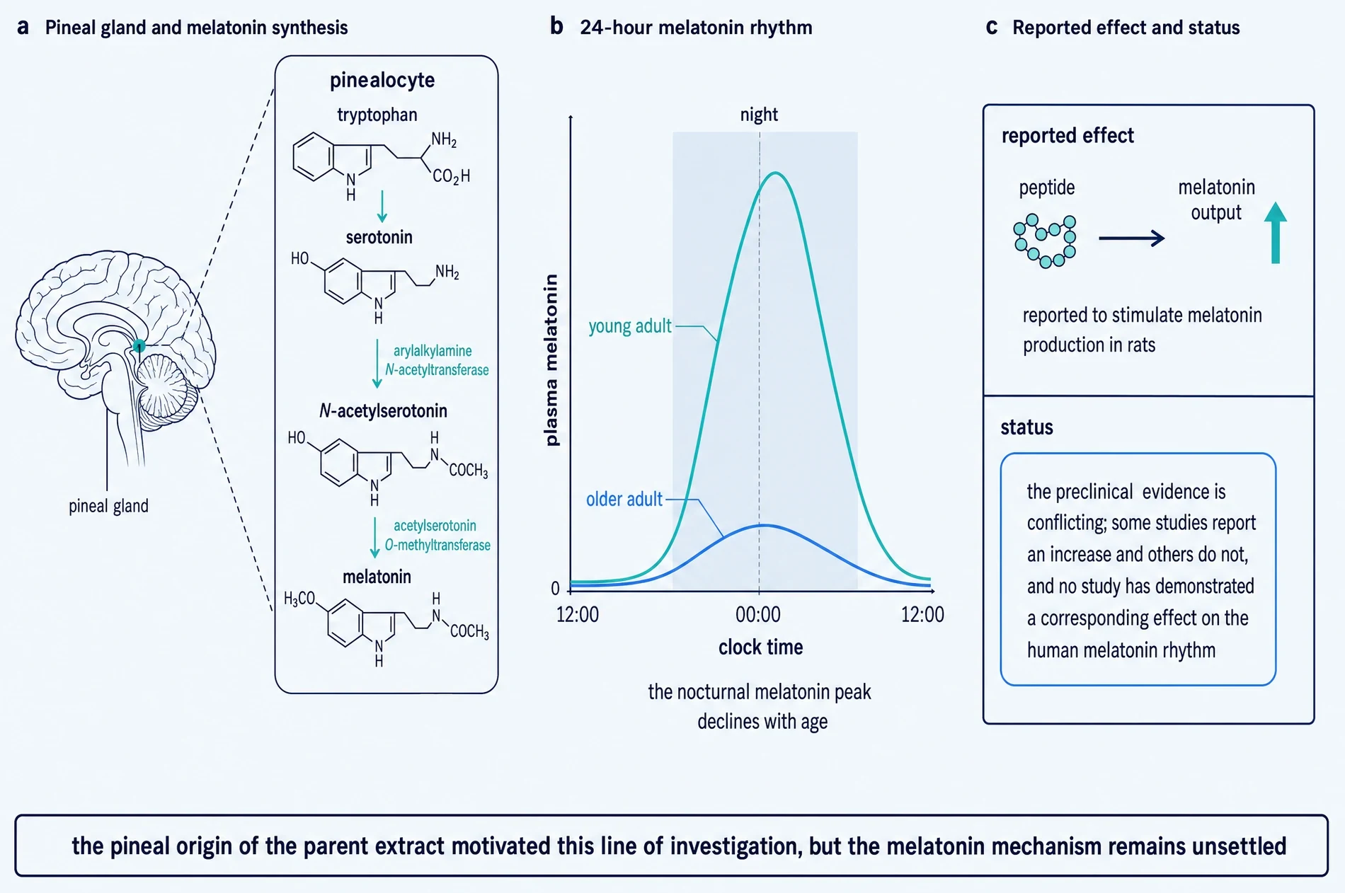 Melatonin biosynthesis, the age-related fall in the nocturnal peak, and the status of the reported effect