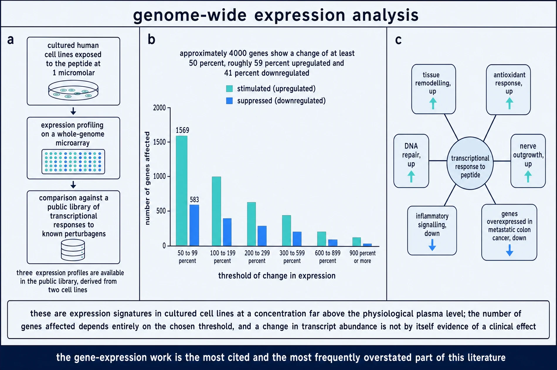 Genome-wide expression analysis: method, number of genes affected at increasing thresholds, and functional groupings of the transcriptional response