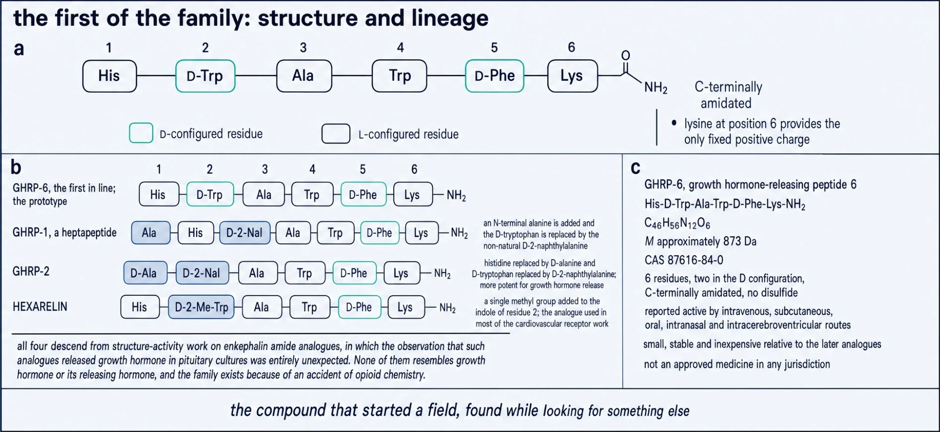 GHRP-6 primary structure and the analogue family