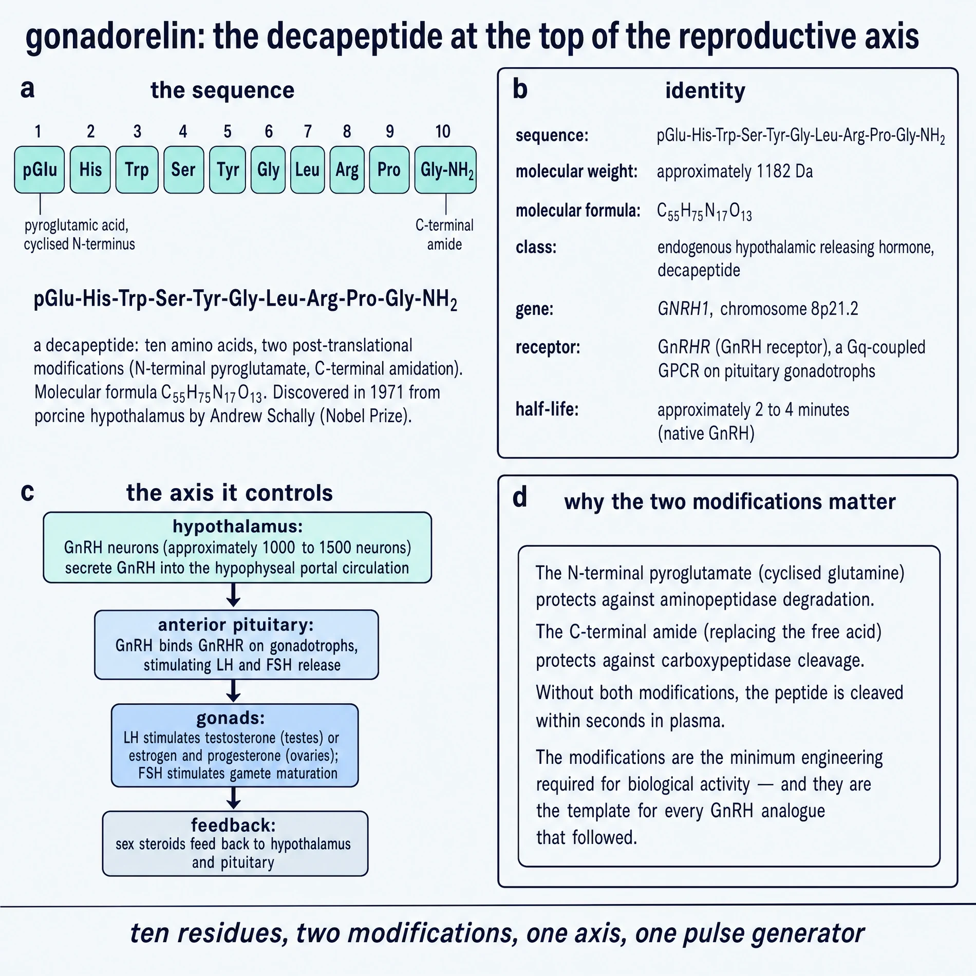 Gonadorelin commissioned plate 1