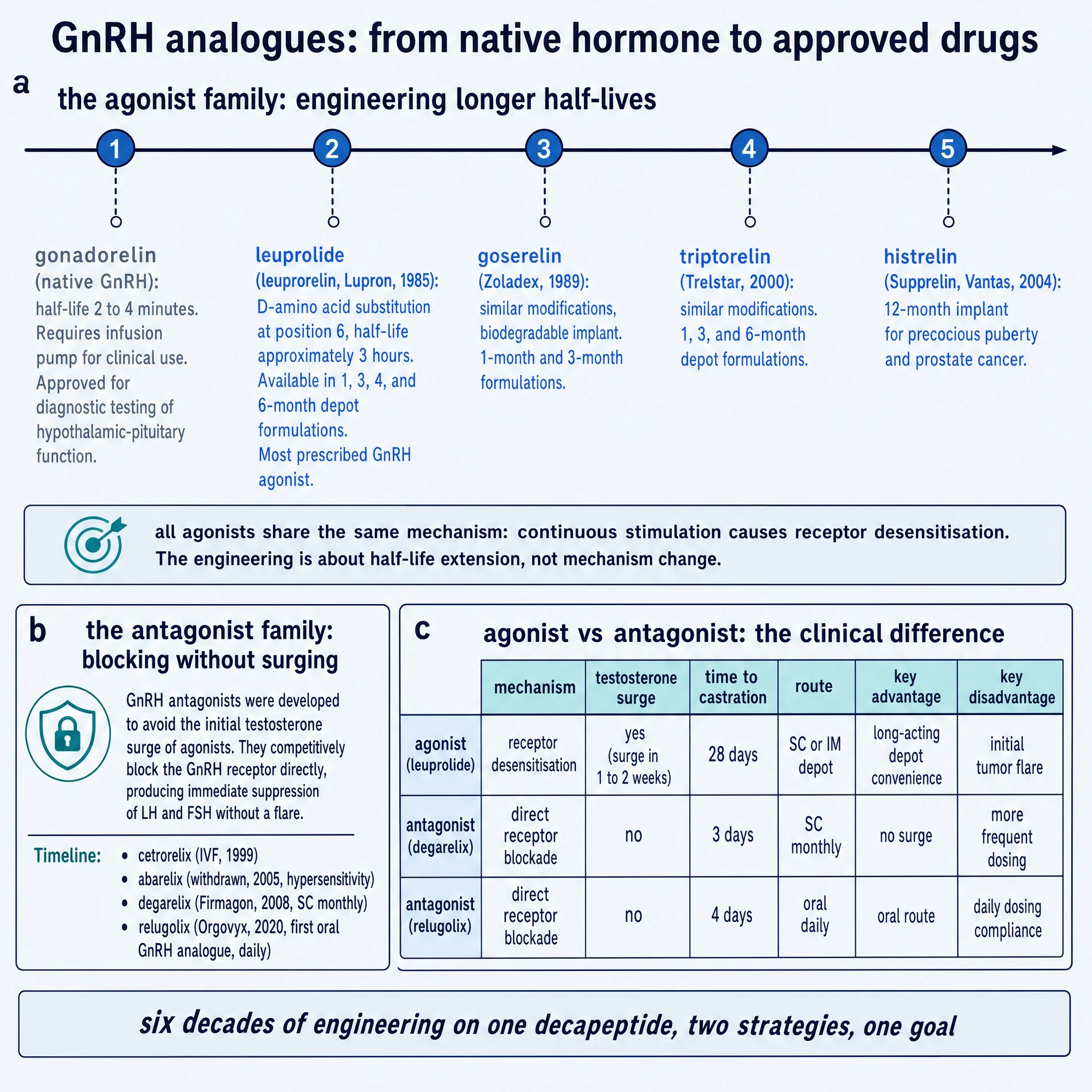 Gonadorelin commissioned plate 3