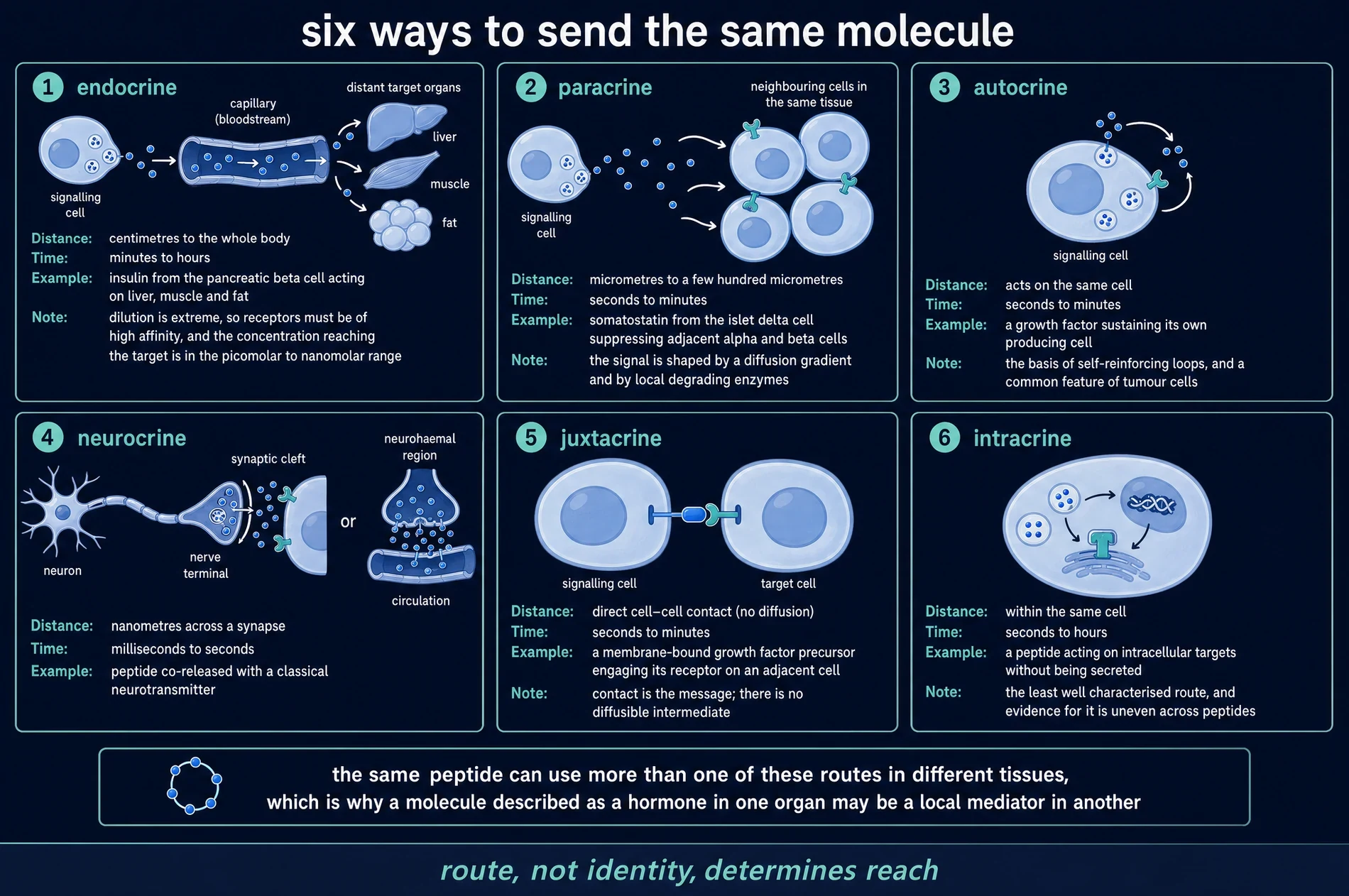Six ways to send the same molecule