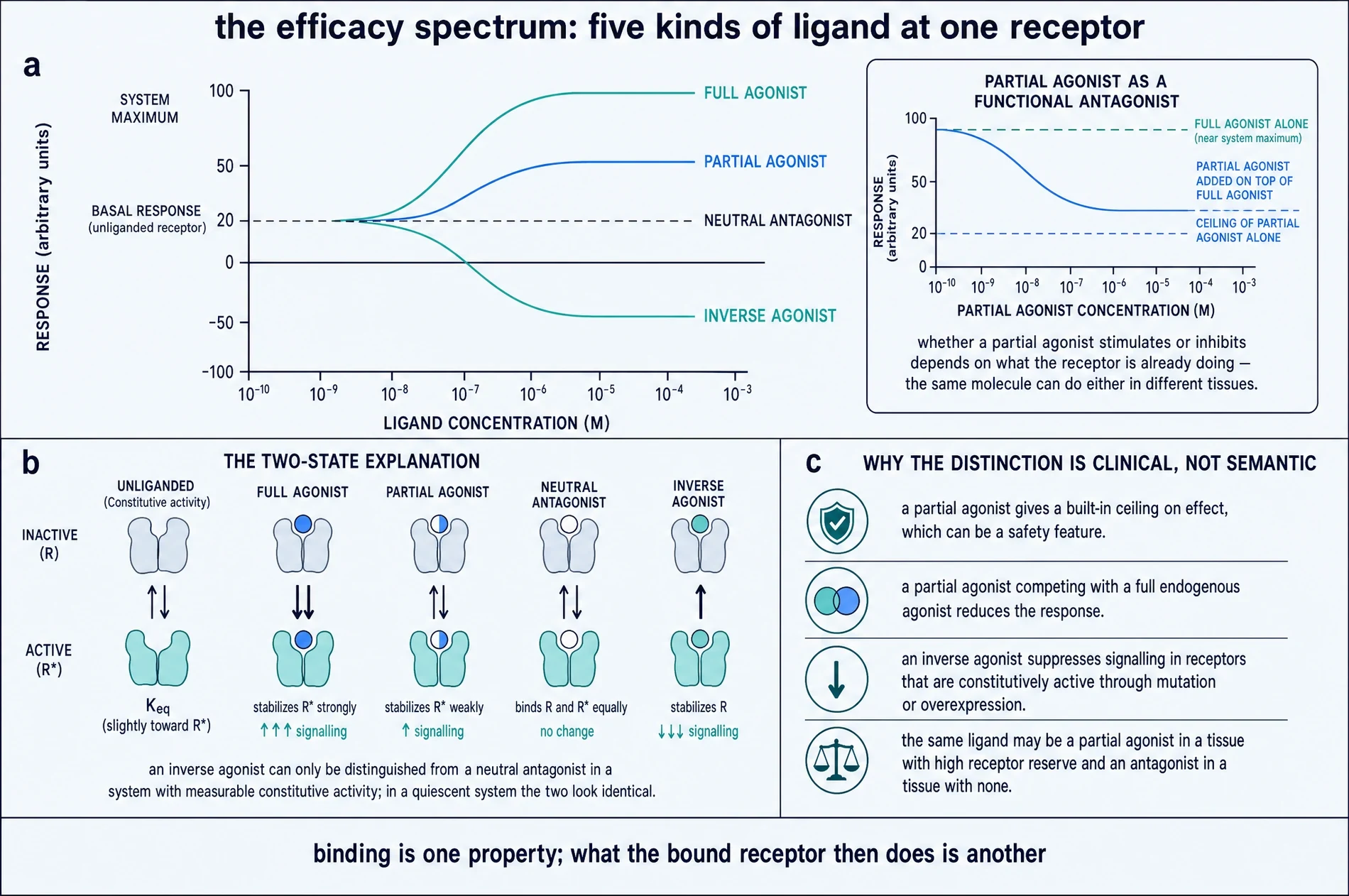 Plate showing five ligand classes as concentration-response curves relative to basal activity, a two-state explanation of each, and the clinical consequences of the distinction