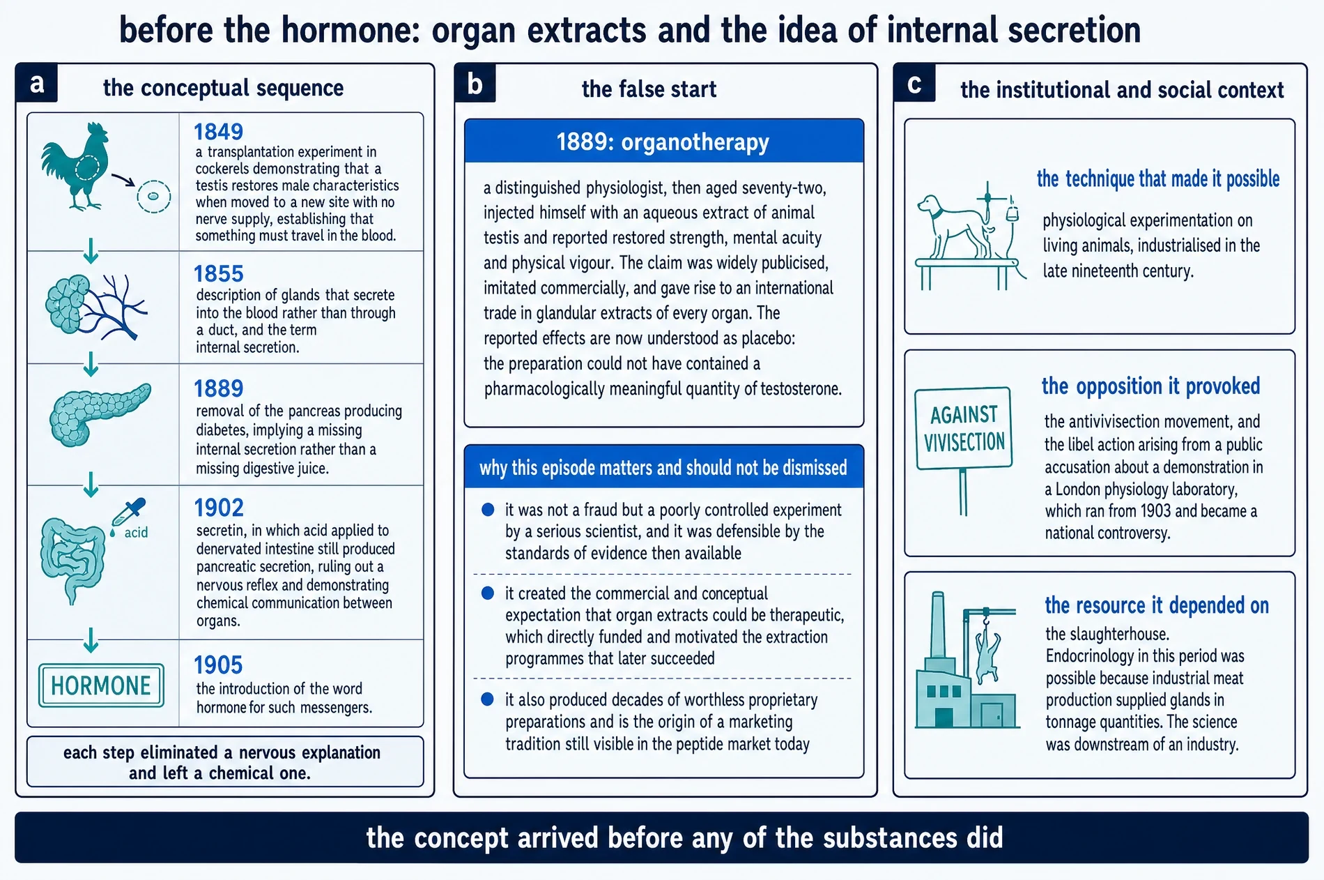 Diagram of the conceptual sequence from 1849 to 1905 leading to the hormone concept, the 1889 organotherapy false start, and the institutional context