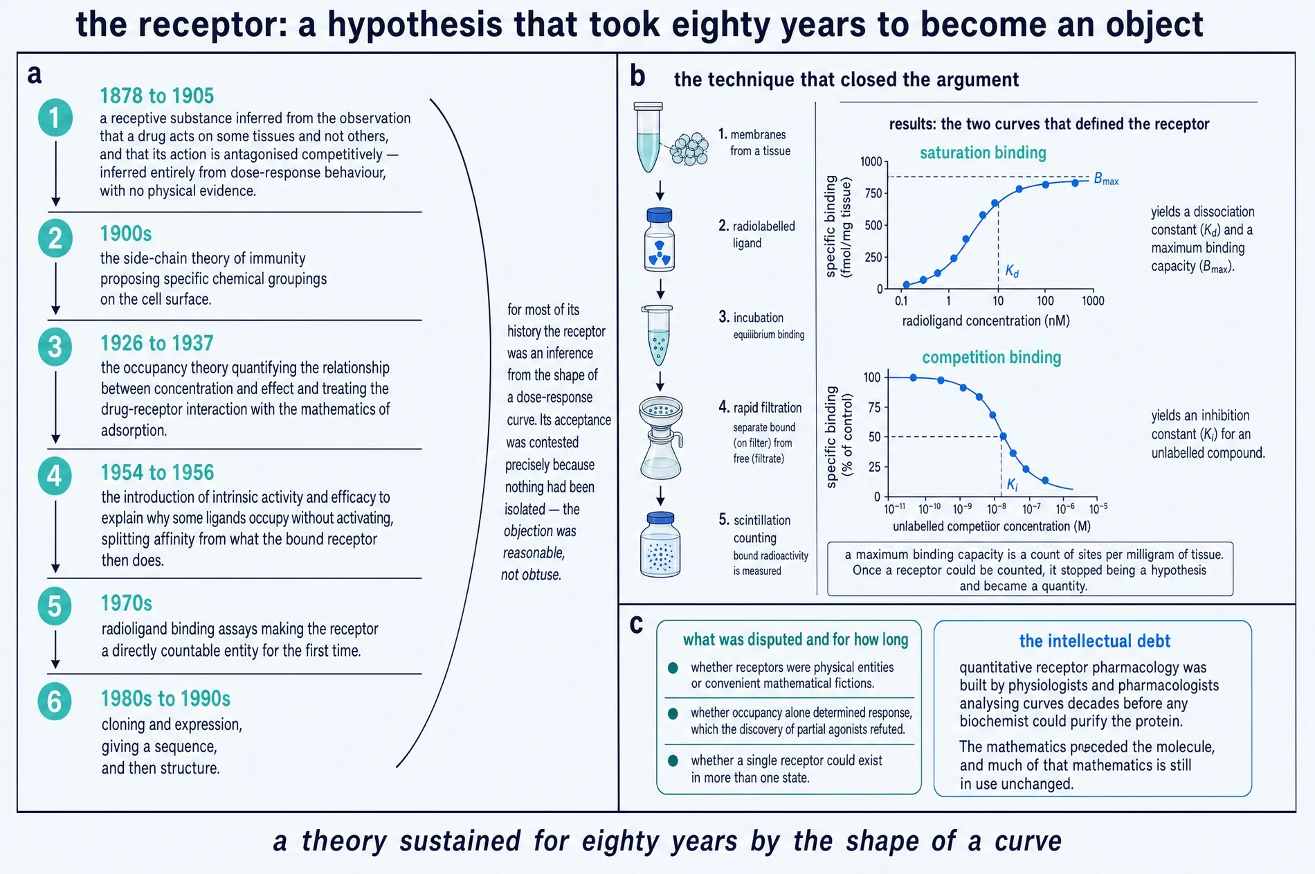Diagram of receptor theory from 1878 to the 1990s, the radioligand binding assay workflow, and the saturation and competition binding curves