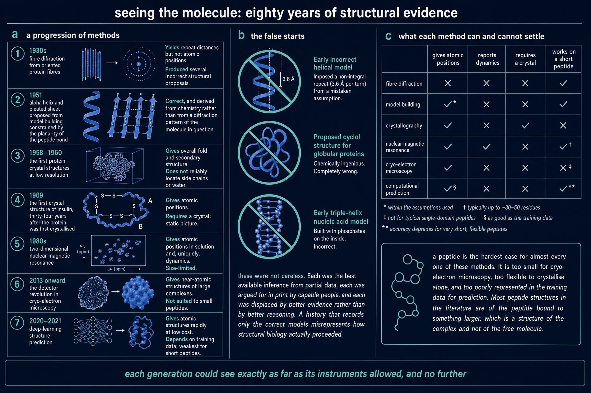 Diagram of seven structural methods from 1930s fibre diffraction to deep-learning prediction, three historical false starts, and a table of what each method can and cannot settle