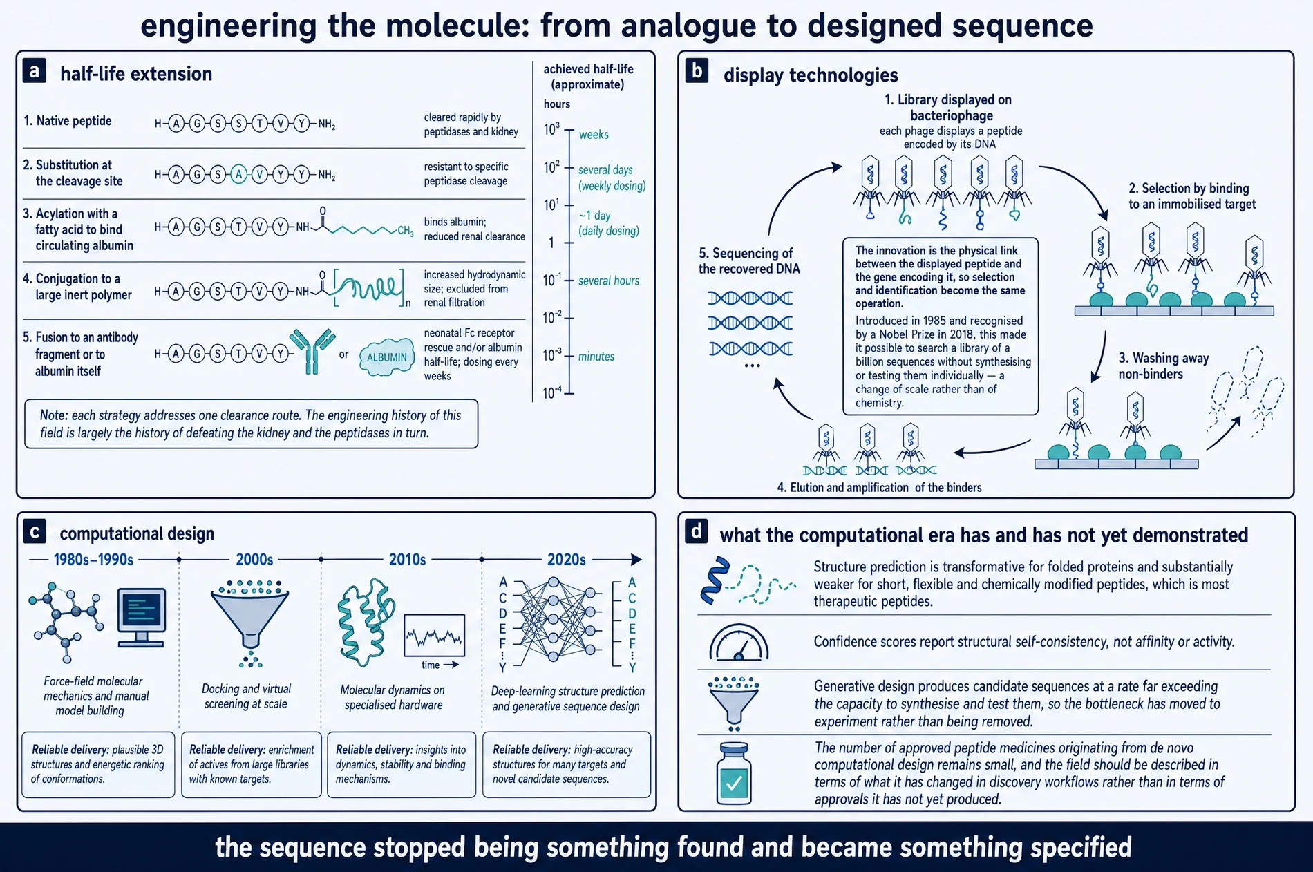 Diagram of five half-life extension strategies against achieved half-life, the phage display selection cycle, and four eras of computational design