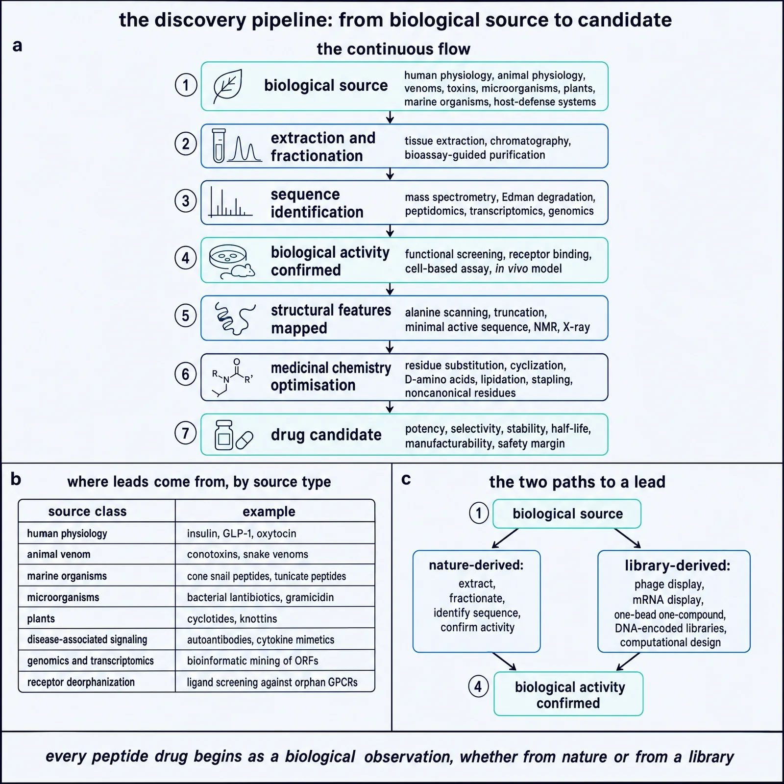 The discovery pipeline.
