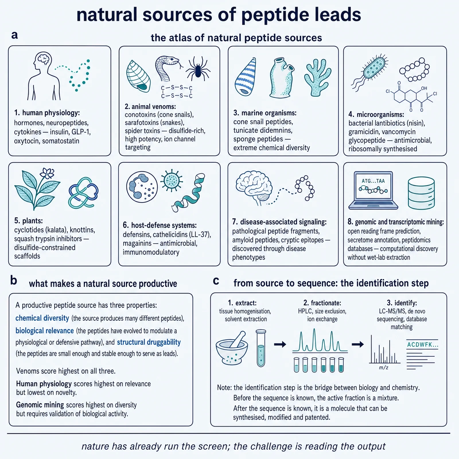 Natural sources of peptide leads.