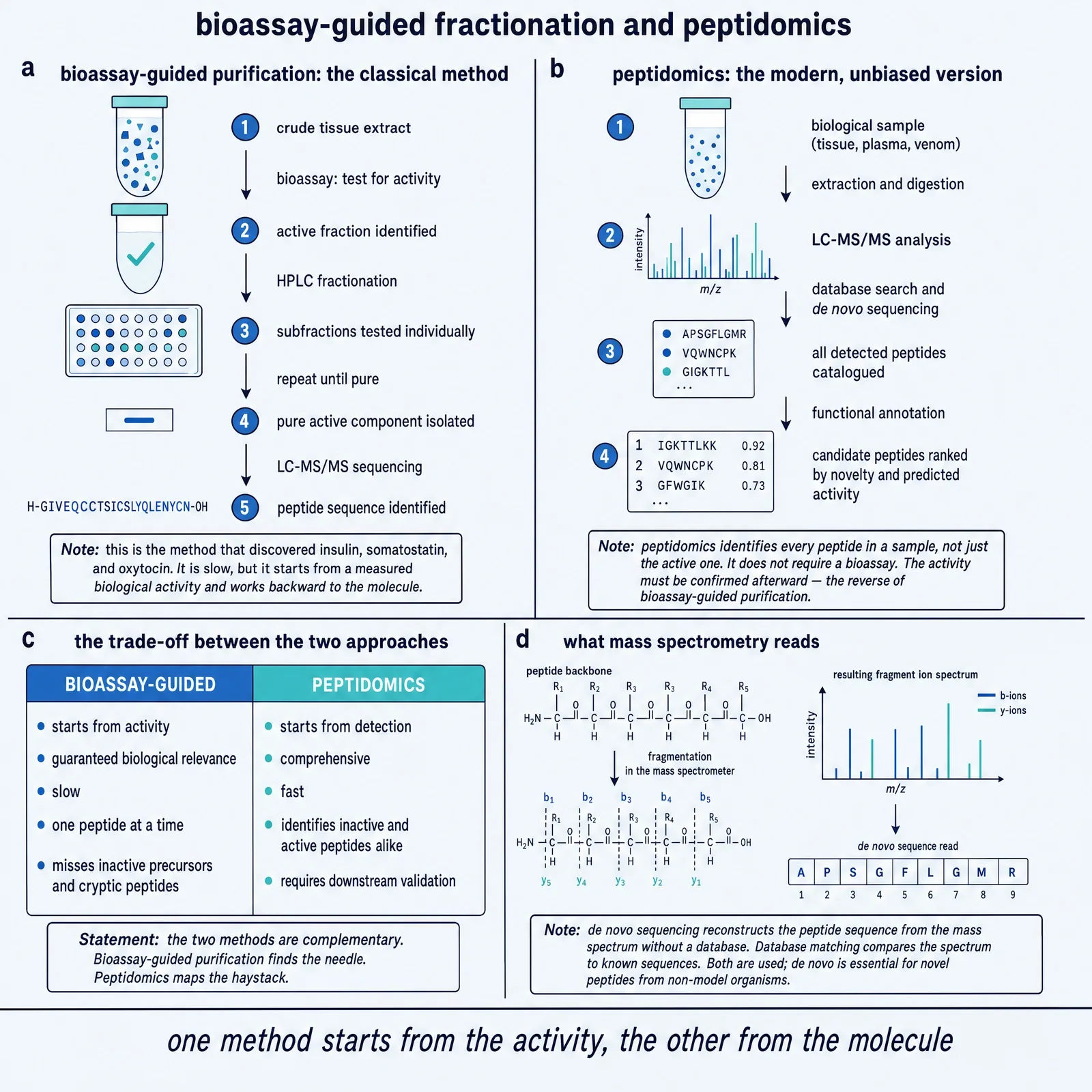 Bioassay-guided fractionation and peptidomics.