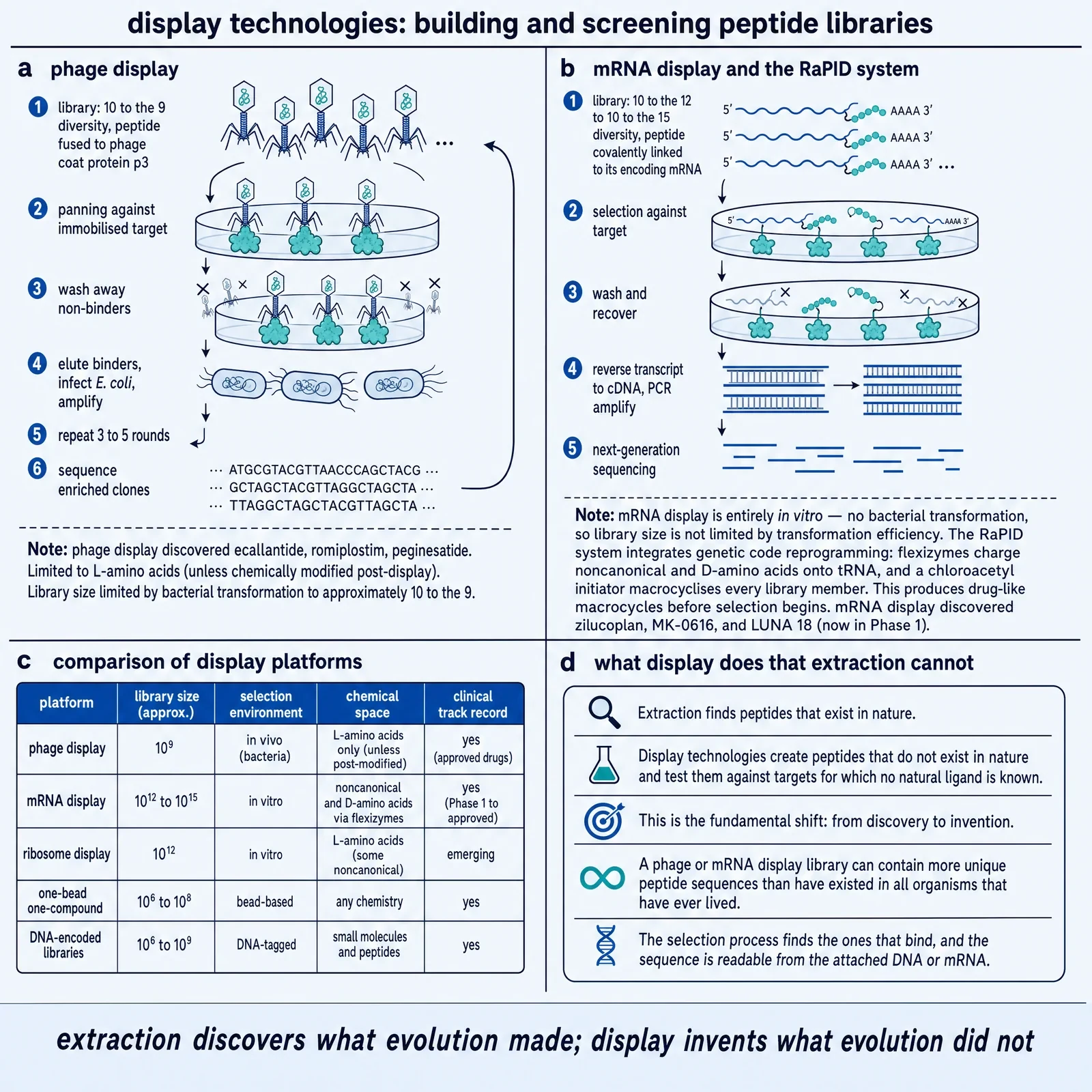Display technologies.