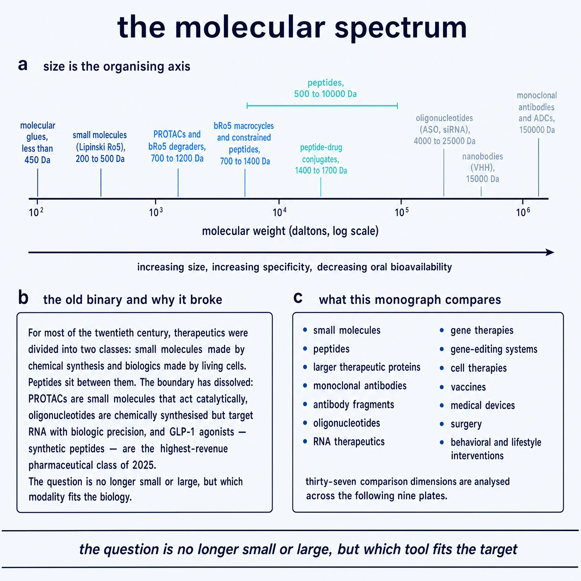 The molecular spectrum of therapeutic modalities ordered by size