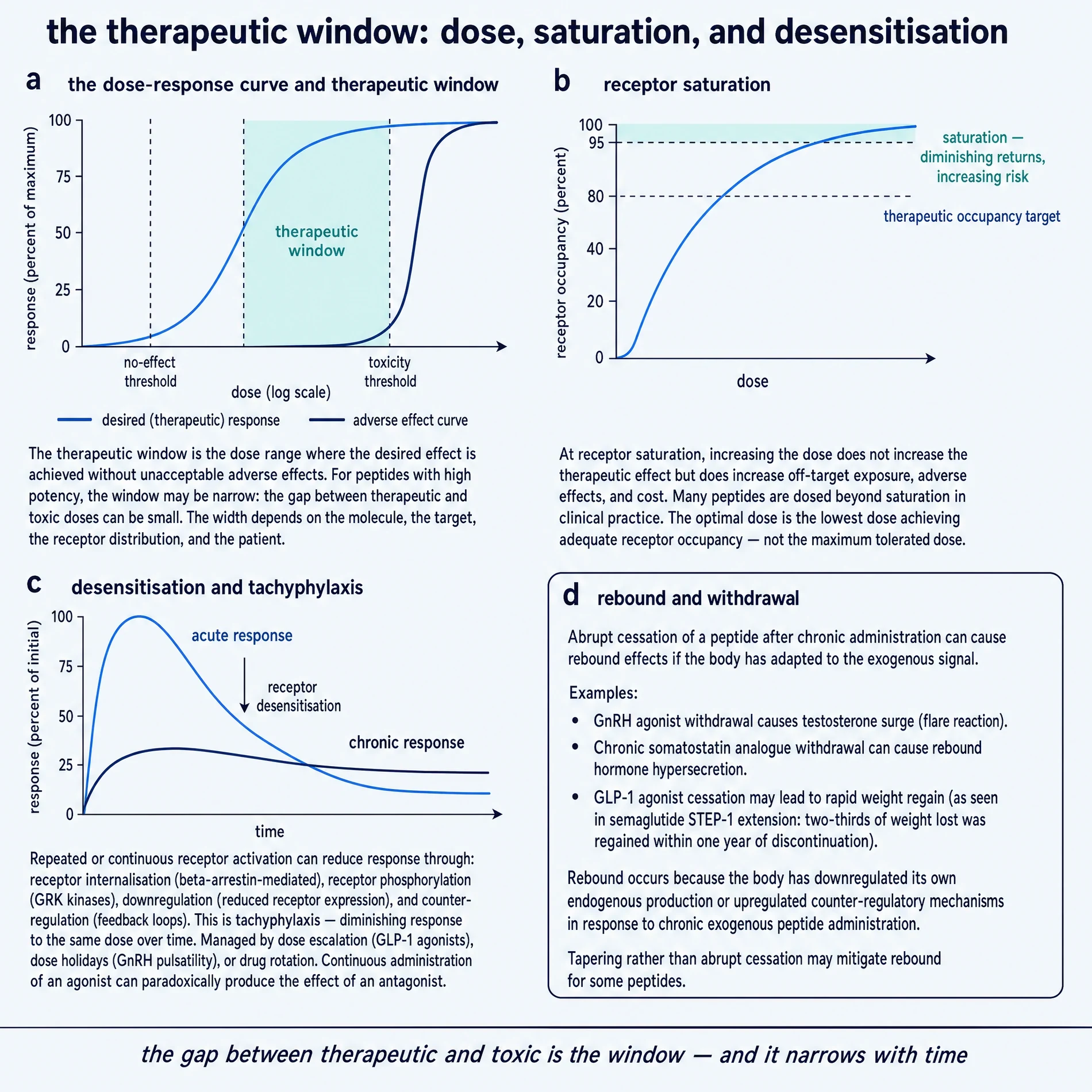 The therapeutic window: exposure, saturation, and desensitisation