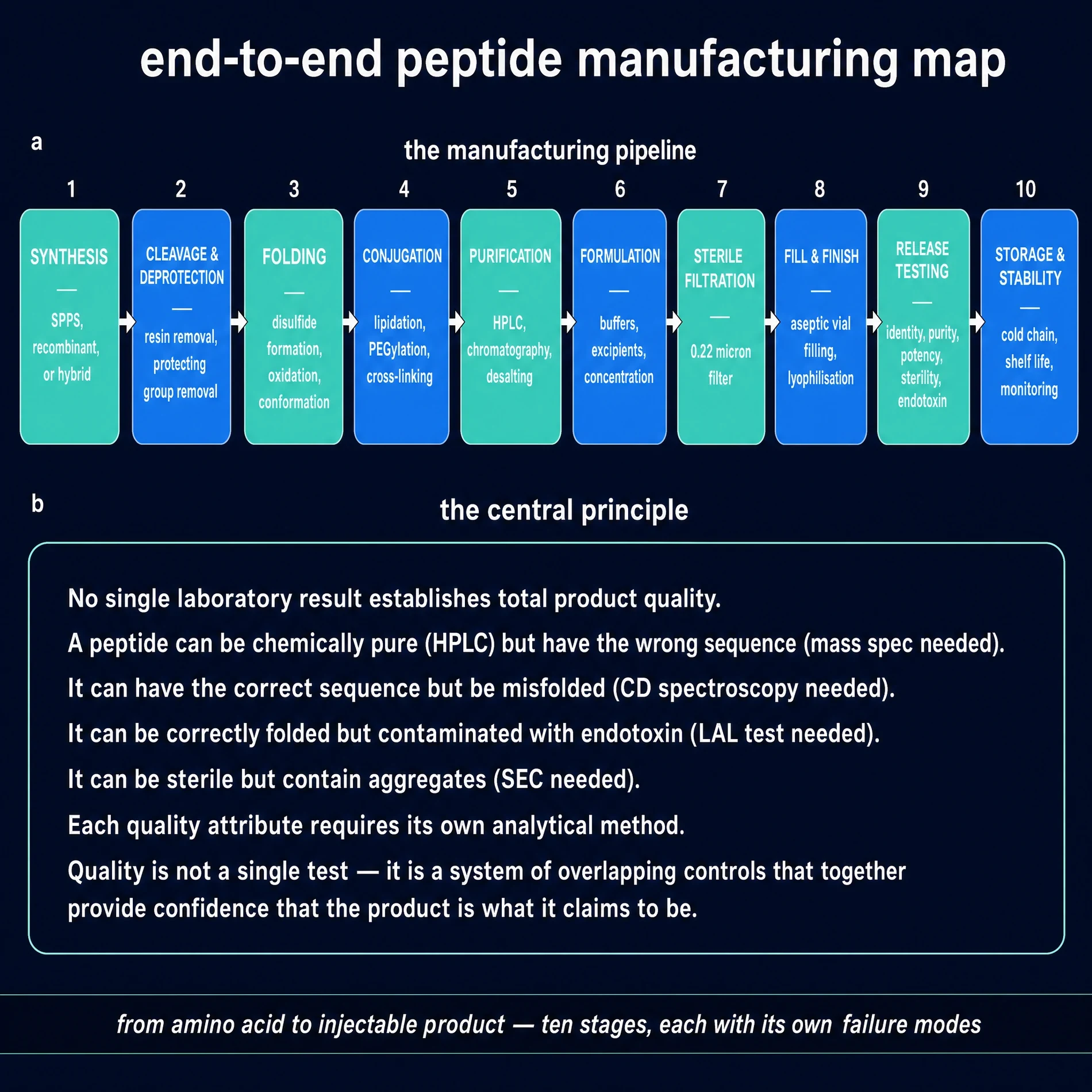 End-to-end peptide manufacturing map.