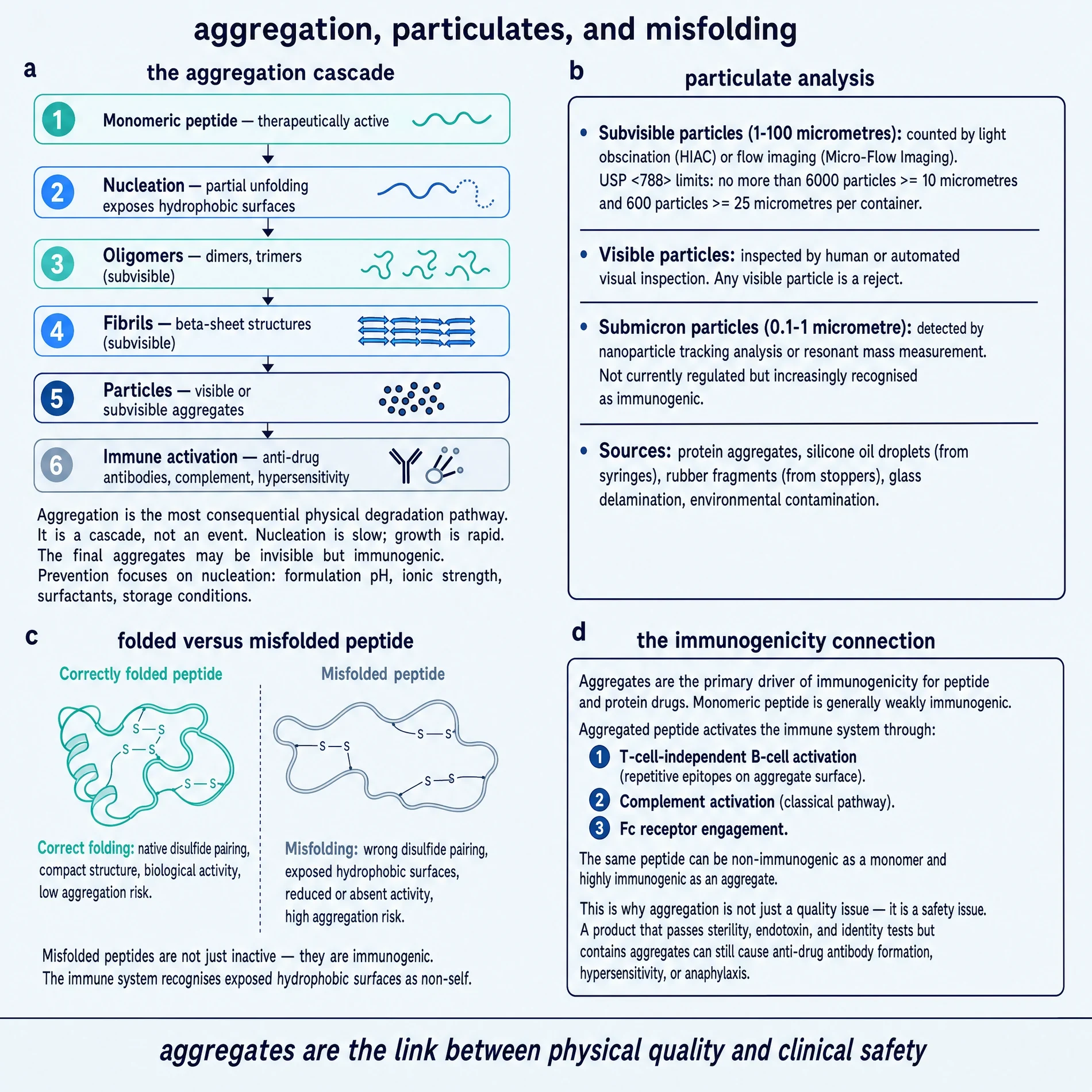 Aggregation, particulates, and misfolding.