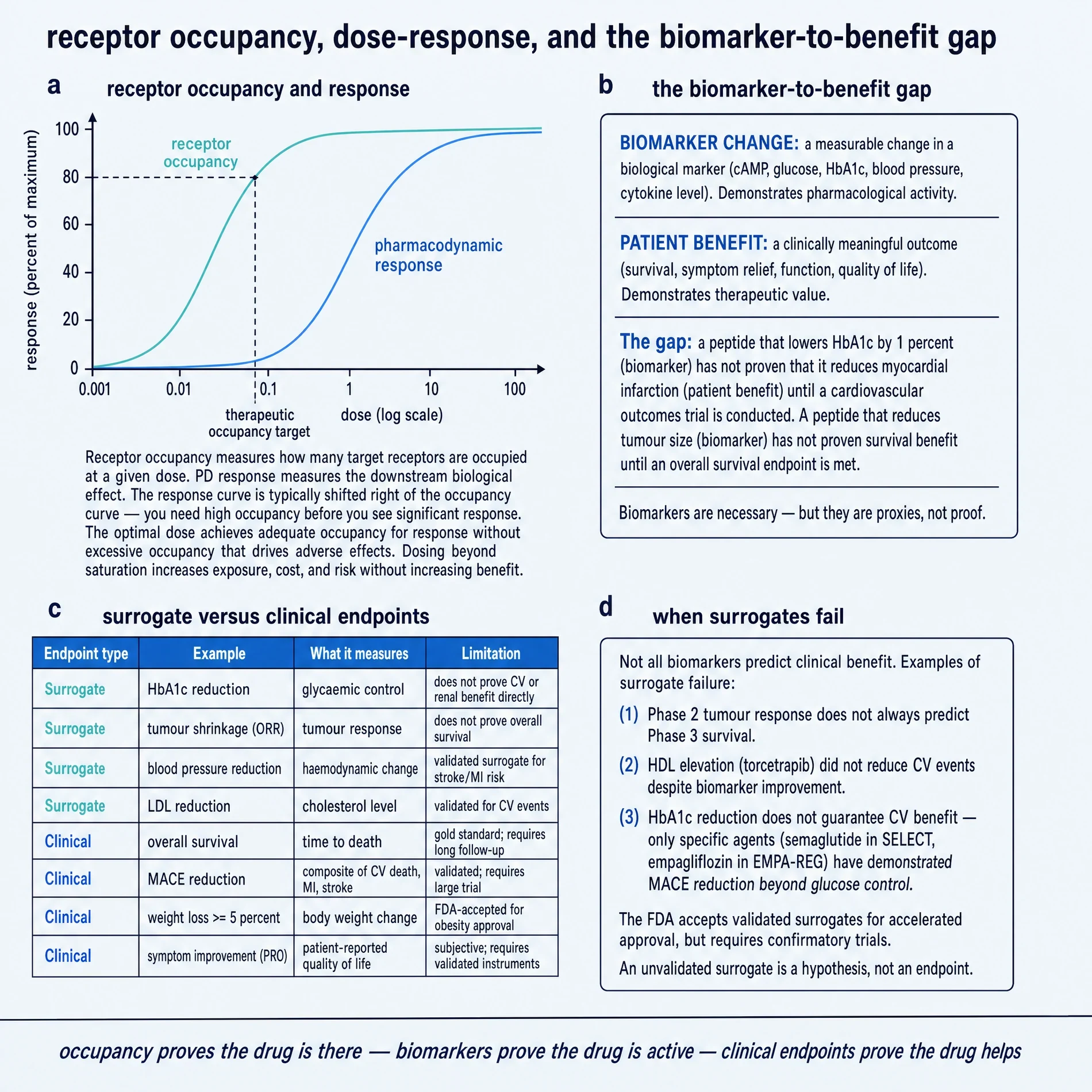 Receptor occupancy, dose-response, and the biomarker-to-benefit gap.