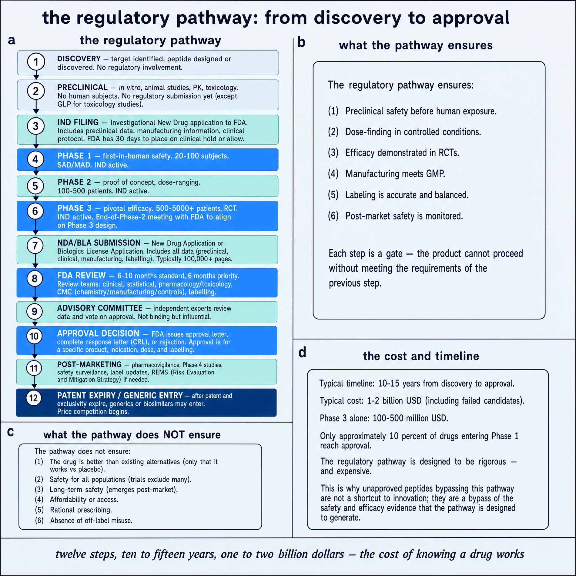 The regulatory pathway: from discovery to approval