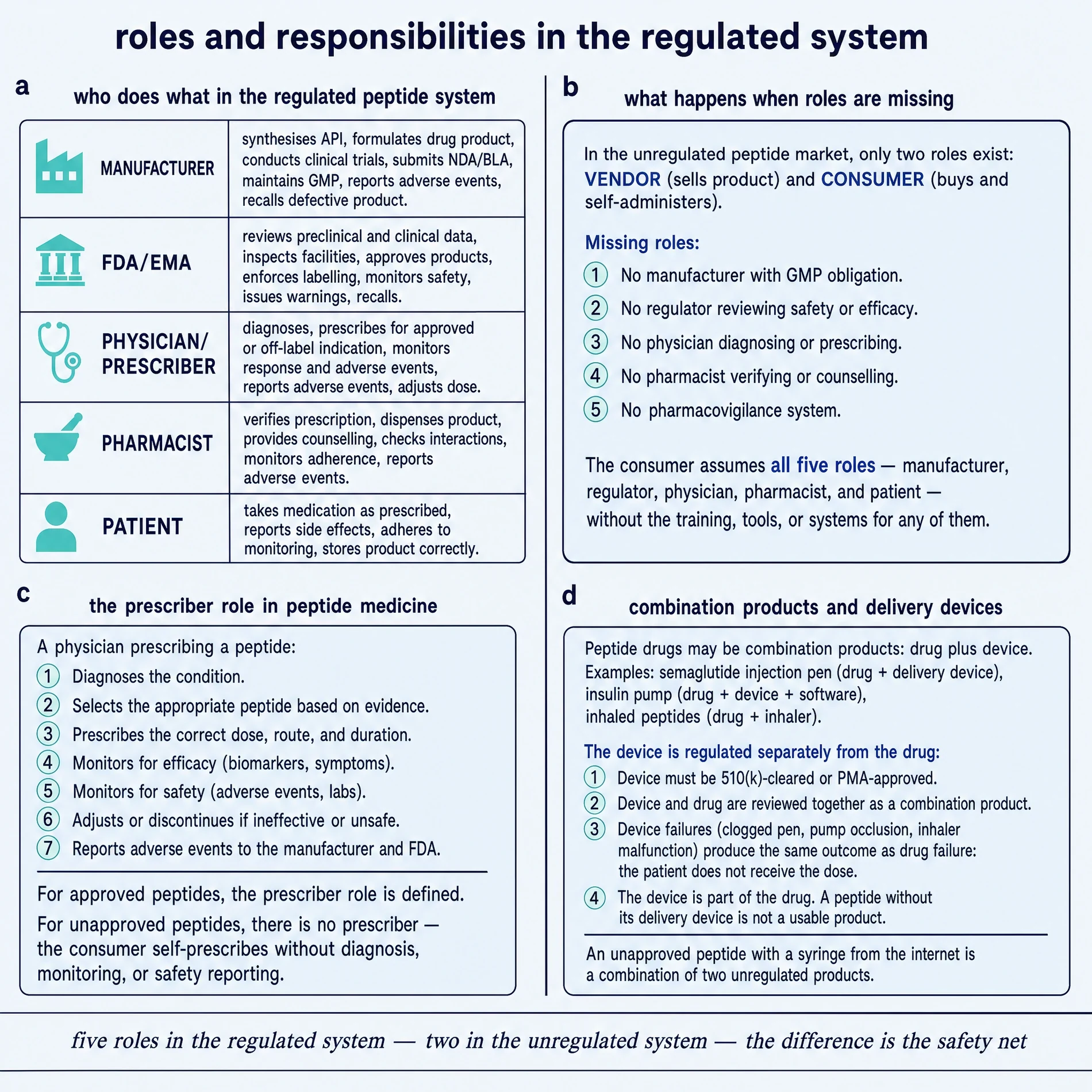 Roles and responsibilities in the regulated system