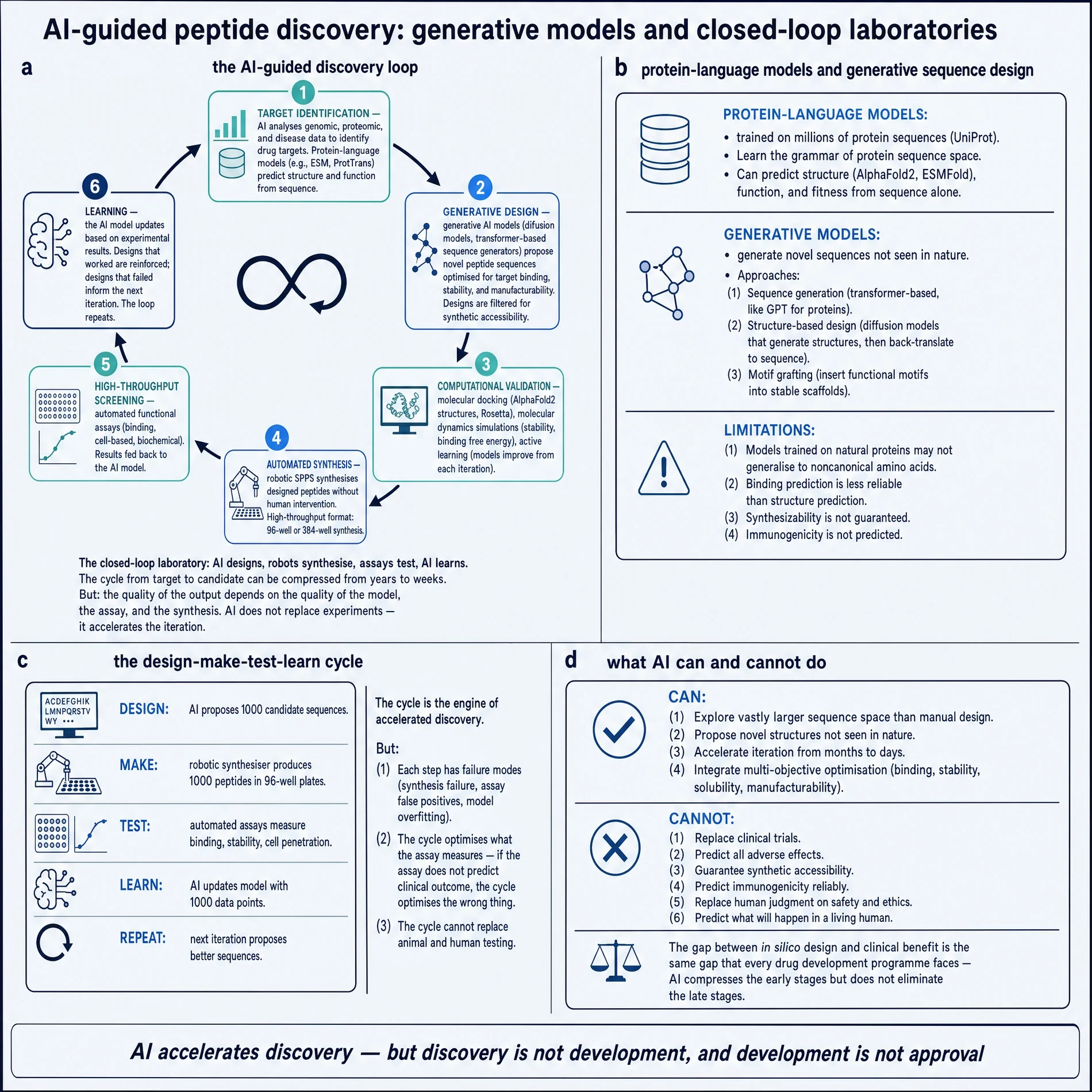 AI-guided peptide discovery