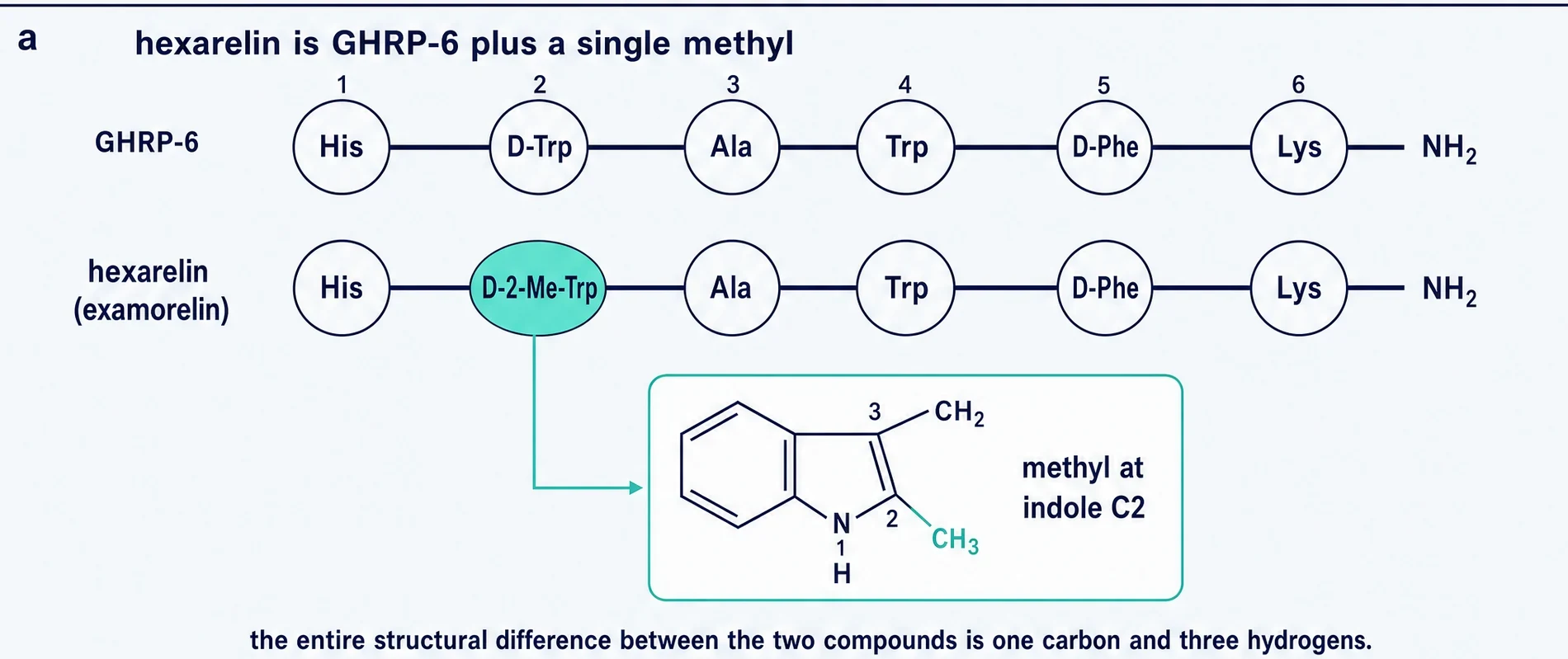 P2_methyl