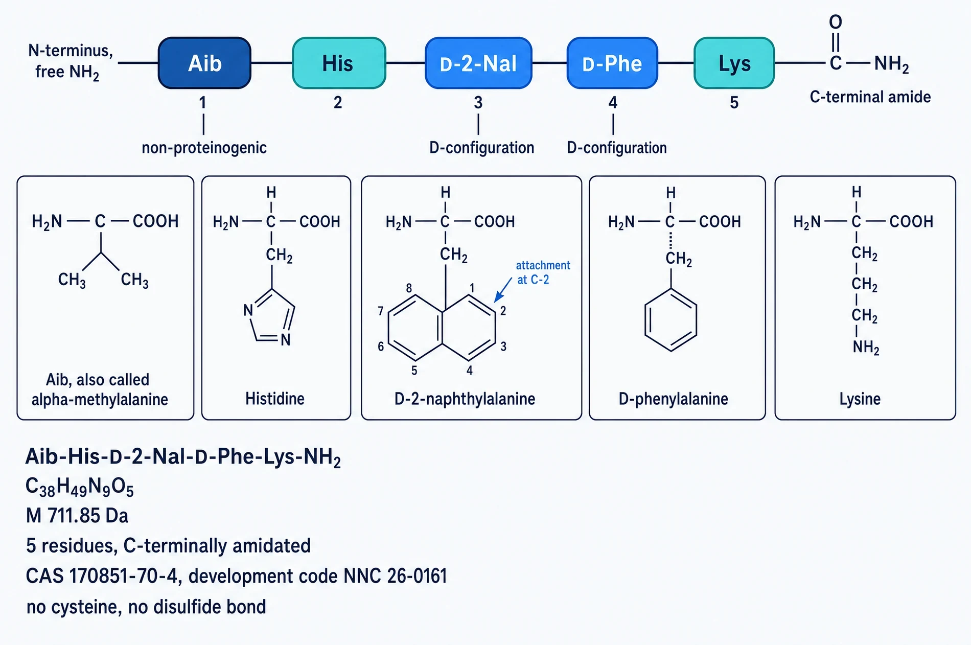 Primary structure of ipamorelin with individual residue structures