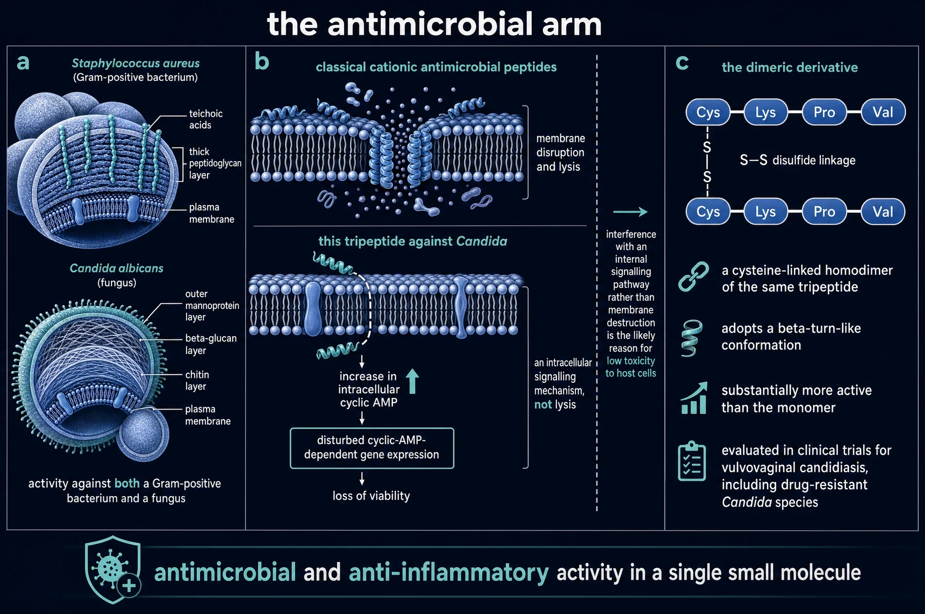 commissioned plate: antimicrob