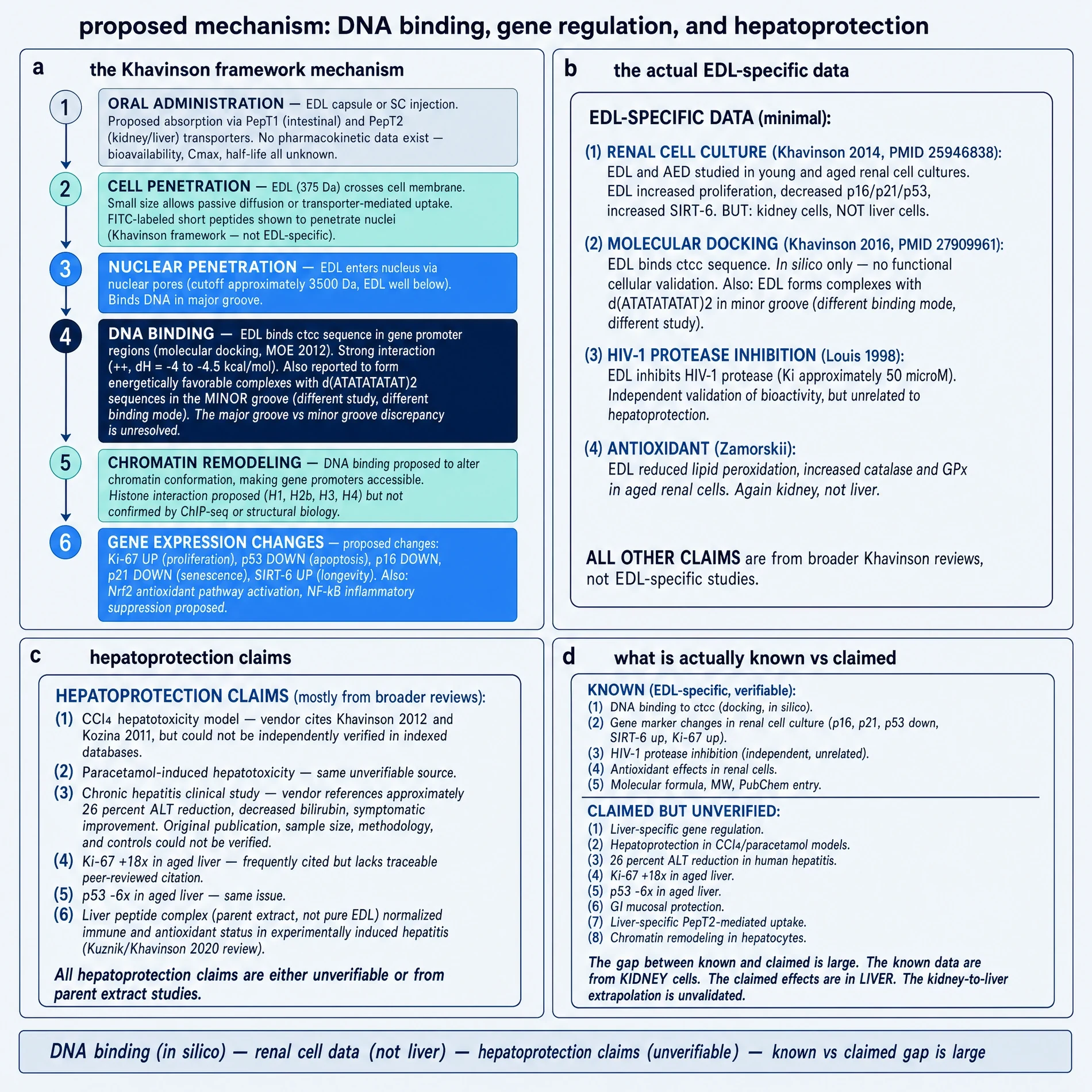 Proposed mechanism cascade versus kidney-anchored EDL data