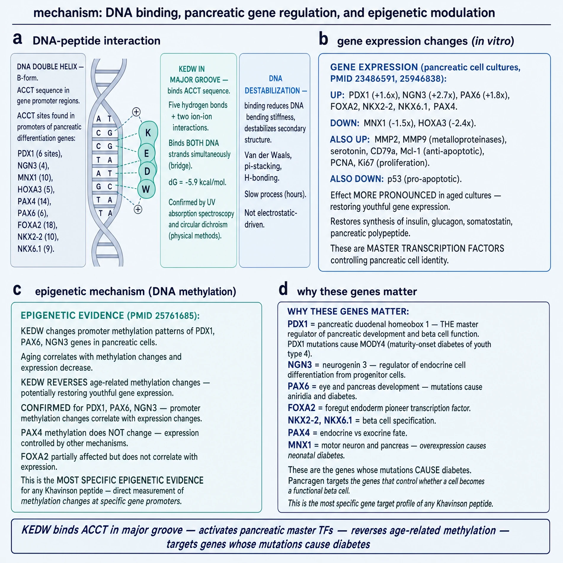DNA binding, pancreatic TF panel, and methylation claim