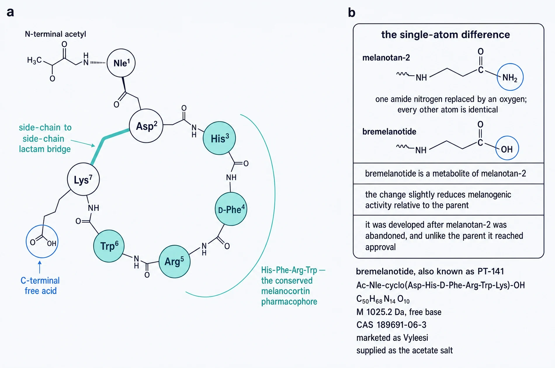 Primary structure of bremelanotide showing the cyclic heptapeptide with lactam bridge, and its single-atom difference from melanotan II