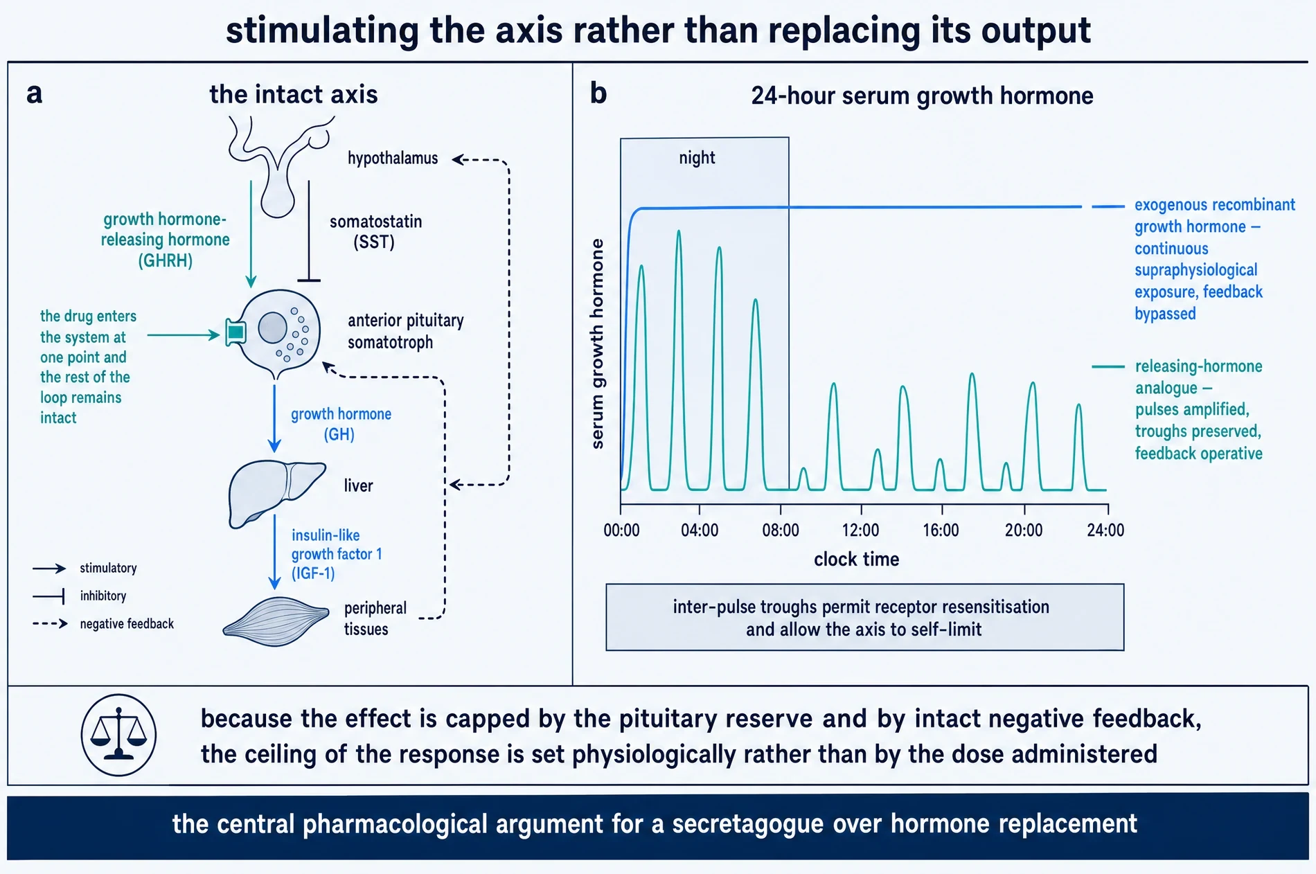 The hypothalamic-pituitary axis with dual control and IGF-1 feedback, beside a 24-hour comparison of pulsatile secretion under a releasing-hormone analogue versus a continuous plateau under exogenous growth hormone