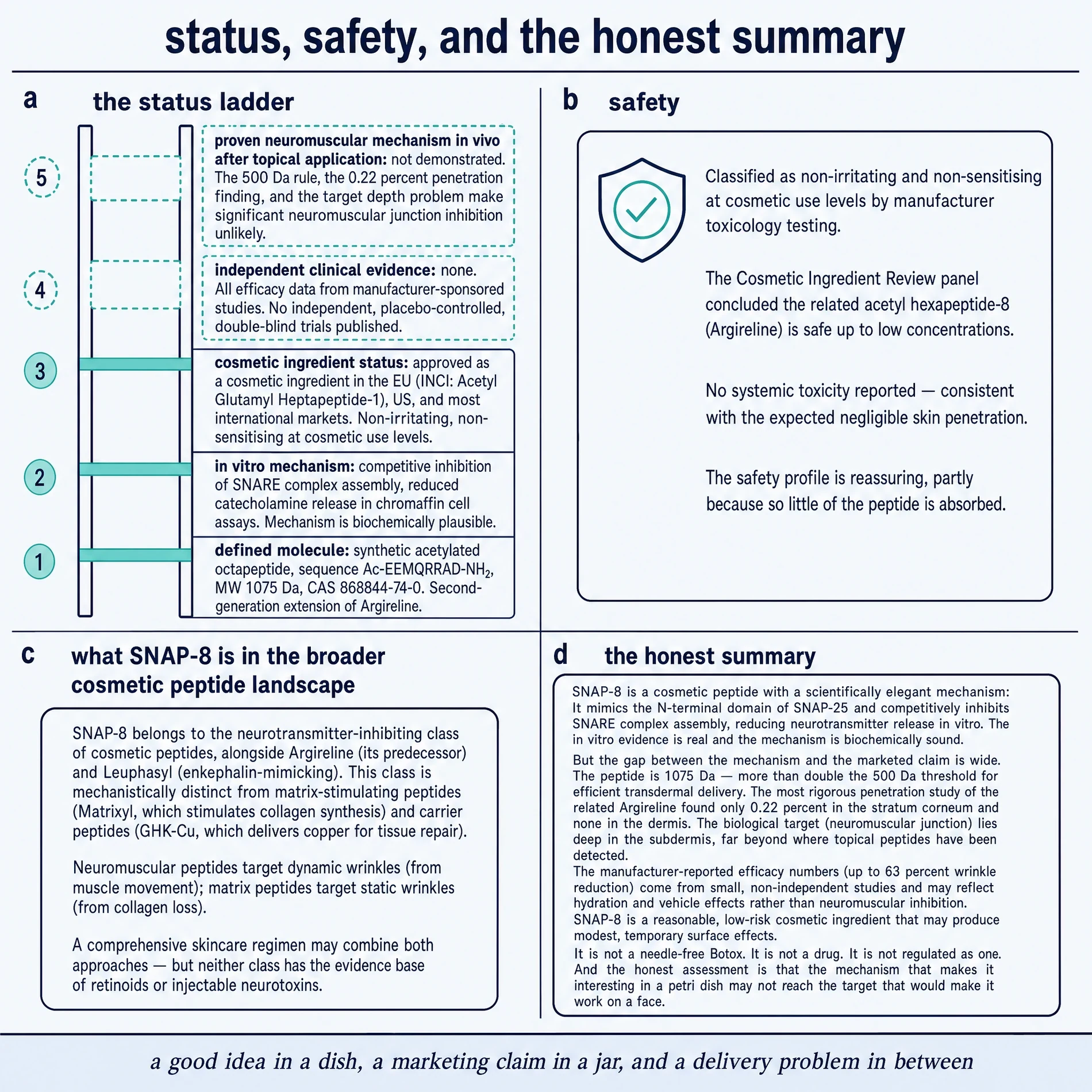 Status ladder, safety card, cosmetic-peptide landscape, and honest summary for SNAP-8