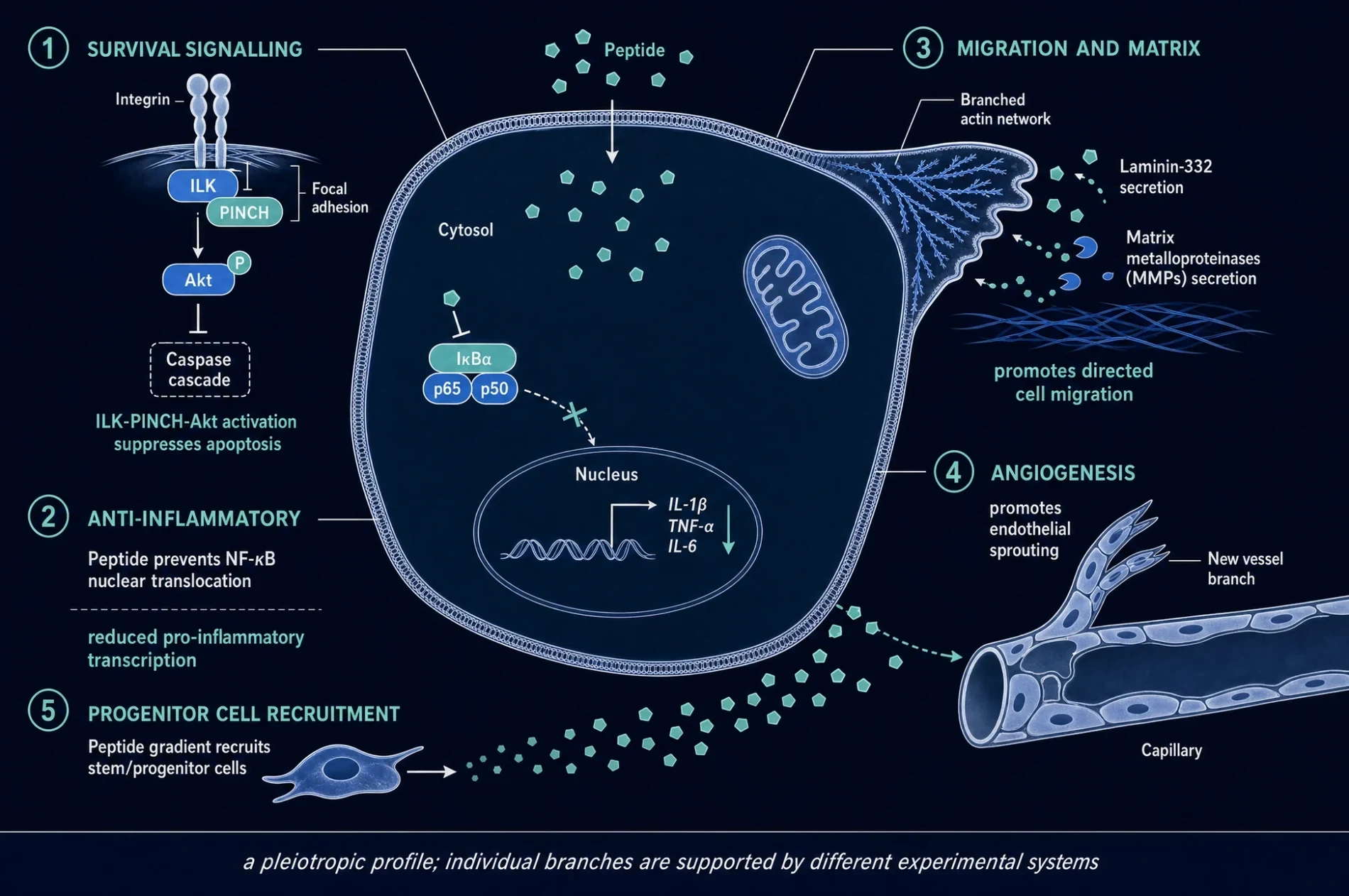 Figure 7. Cell-level actions.