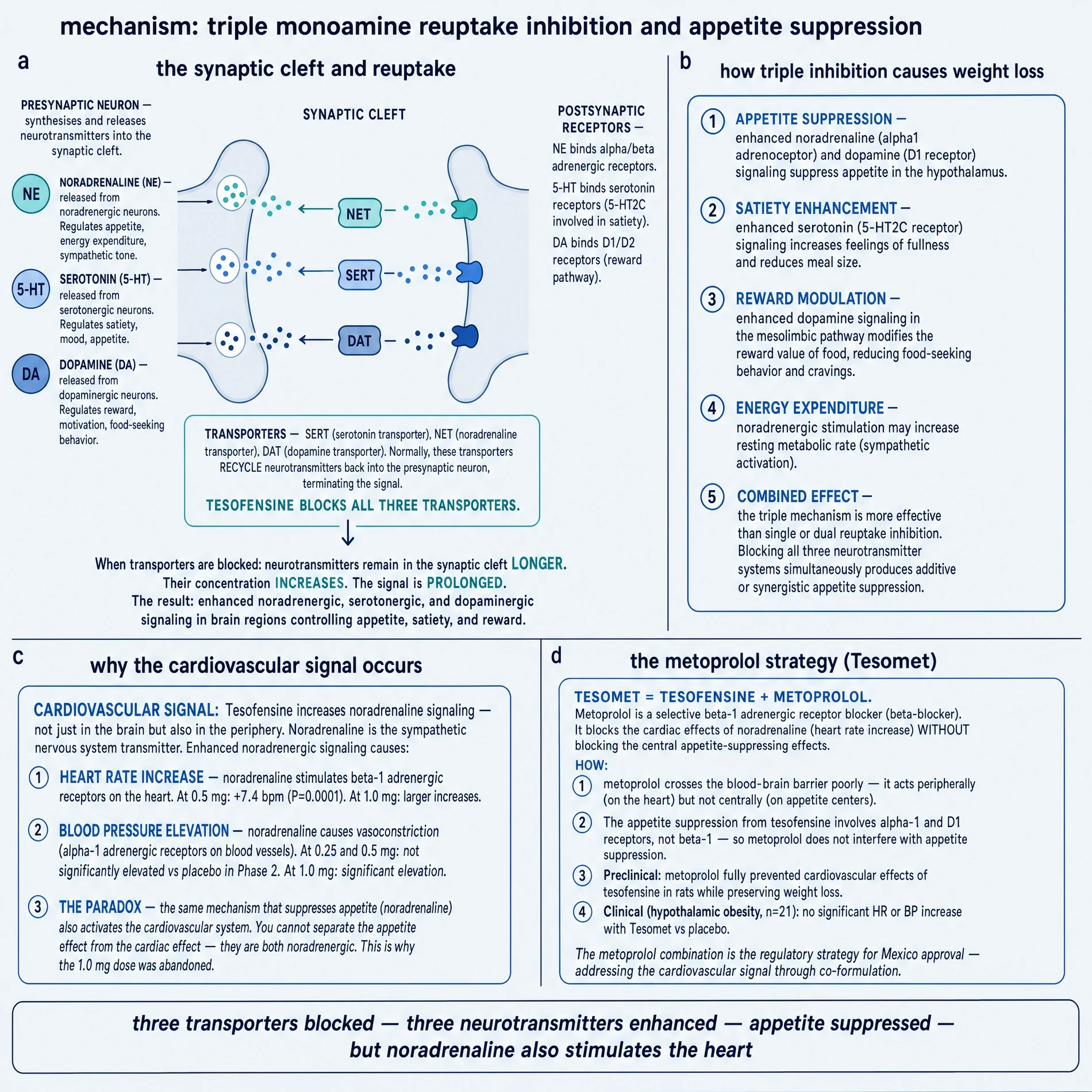 Mechanism plate: triple monoamine reuptake, appetite pathways, cardiovascular paradox, and metoprolol combination logic
