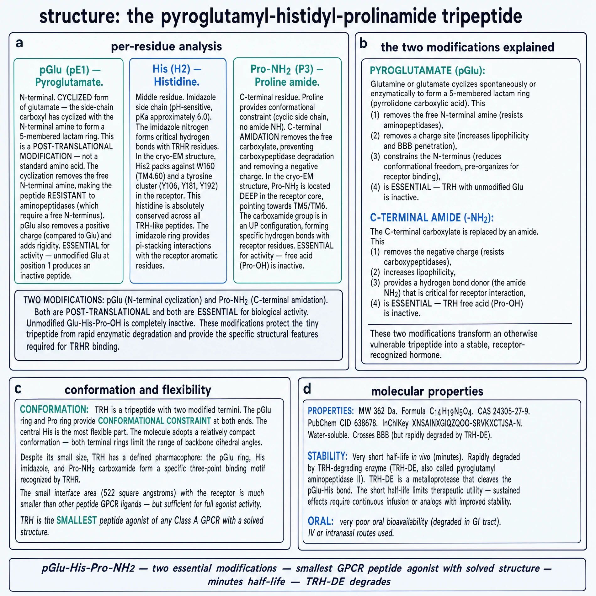 TRH structure: per-residue modifications, conformation, properties